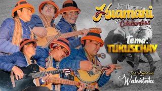 LOS HERMANOS HUAMANI DE COTABAMBAS TUKUSCHAY