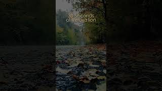 30 seconds Relaxation with Rain sounds on a forest road #meditation #anxietyrelief #relaxing