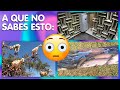 15 datos que apostamos NO sabías hace 8 minutos 🧠💡