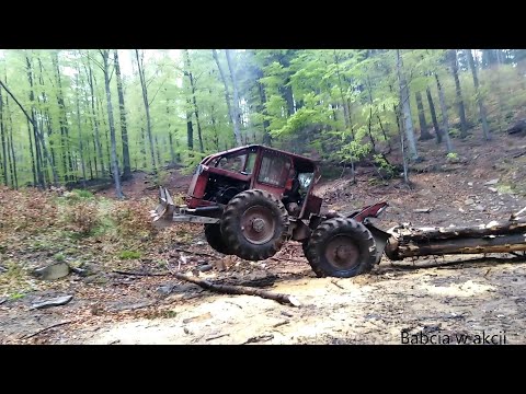 LKT 80, 3 drzewa i 11m3, pęknięta lina