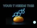 Build Muscle Faster with The Cholesterol Building Hack