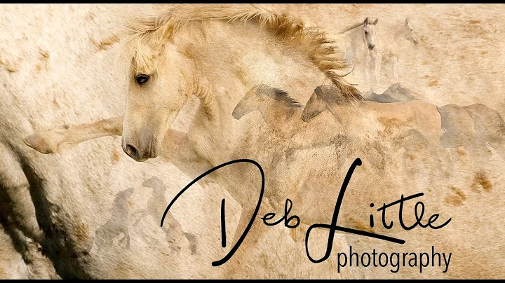 Adventure Awaits - Deb Little Photography
