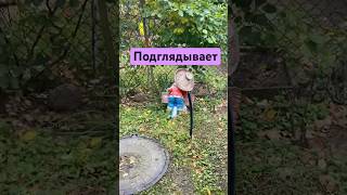 Очень странные дела #мем #шутка #юмор #прикол