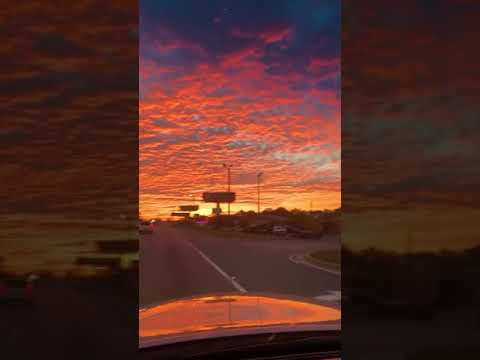 بدأت رواياتي الأول