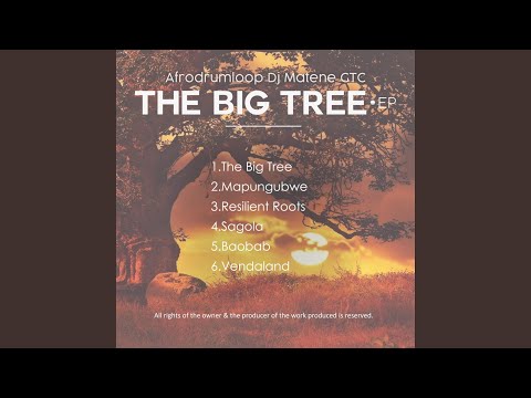 Παρακολούθηση Baobalo (Afrodrumloop) στο YouTube