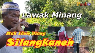 MAK ITAM BIANG SILANGKANEH - Komedi Pauh TV. Lawak Minang