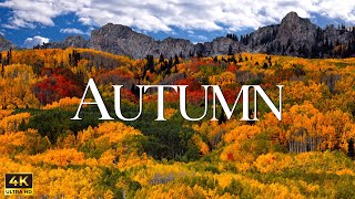 Enchanting Autumn Forests with Beautiful Piano Music - 4K Autumn Ambience &amp; Fall Foliage