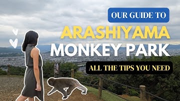 UNEXPECTED Place To See SNOW MONKEYS In Japan 🐒 | Insider Tips to Maximize Your Trip!