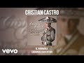 Cristian Castro - La Desentendida (Live / Audio)