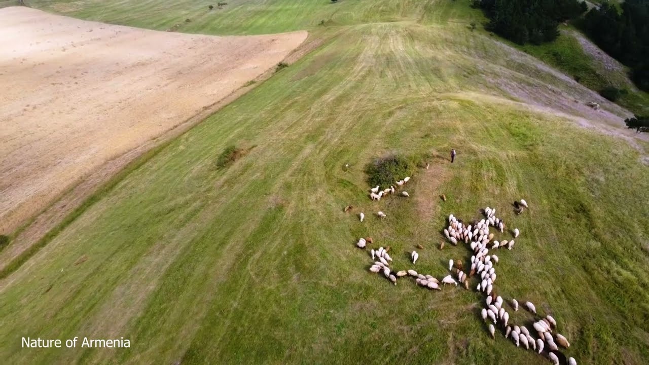 Ванадзор - Полетаем в горах и поедем город
