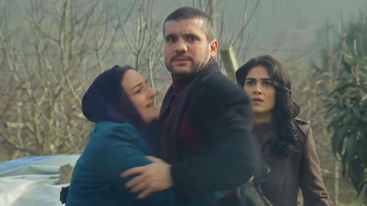 زهرة القصر الجزء الثالث - النسخة الأصلية الحلقة HD 71