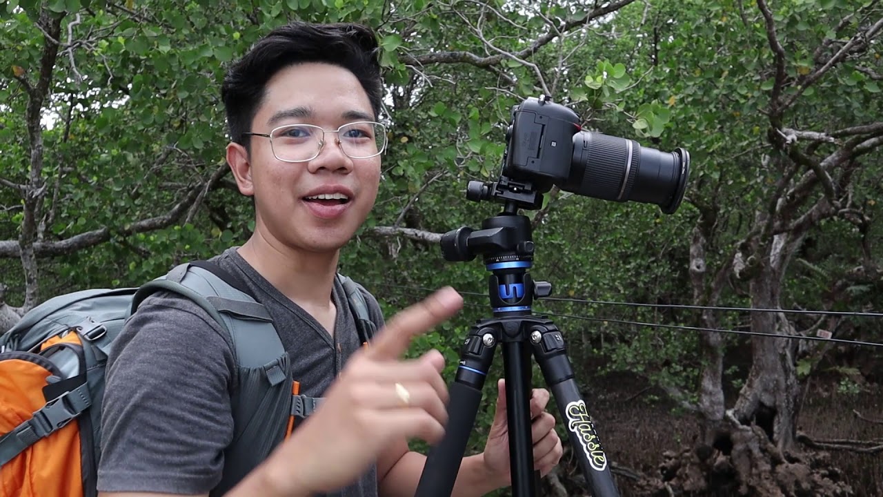 Photographing Mangroves of Katunggan Park in Camiguin