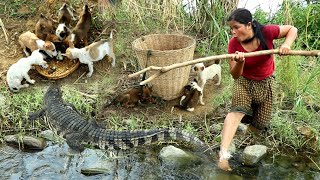 Woman catches puppy in the forest-Amazing woman catches a big crocodile-cook frogs for dogs to eat
