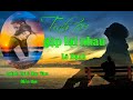 Huy Tâm Channel - Tình cờ gặp lại nhau - Lê Hạnh