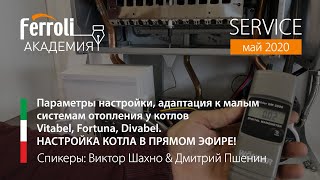 Настройка традиционного котла Vitabel. Обзор комплектующих котлов Ferroli: Divabel, Vitabel, Fortuna