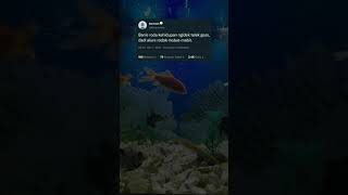 Status whatsapp//(Lagu Mantan Kelaran)