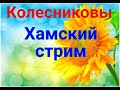 Колесниковы/Стрим/Обзор влогов