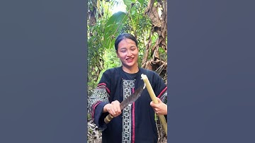 Bữa cơm trên rừng của em hôm nay chỉ có một món thôi ạ