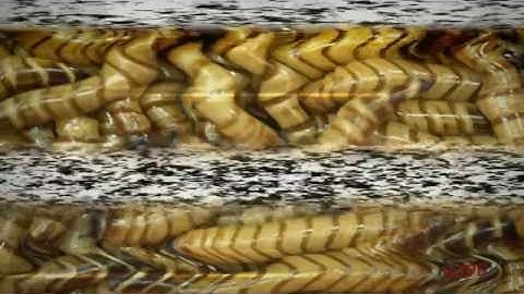 RPGM Plays: Trivia Murder Party: Session 1, Part 1