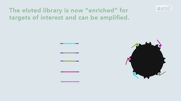 Enriching for Target Sequences (Next-Gen Sequencing)