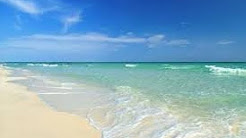 THE CLEAREST WATER EVER Siesta Key Beach !