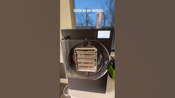 Using the Harvest Right freeze dryer. #hash#bubblehash#freezedry#ganja