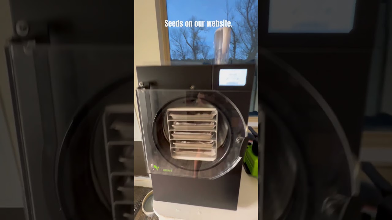 Using the Harvest Right freeze dryer. 