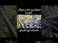 مغامرات داي الشجاع ـ مواجهة بين هيونكل و هدلر الجزء 2