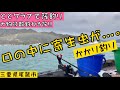 【チヌかかり釣り】三重県尾鷲市尾鷲港から出ているととクラブにて、筏釣り♪海も景色も綺麗です!!