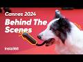 Insta360 - Filming Messi the Dog From &#39;Anatomy of a Fall&#39; at Cannes Film Festival 2024