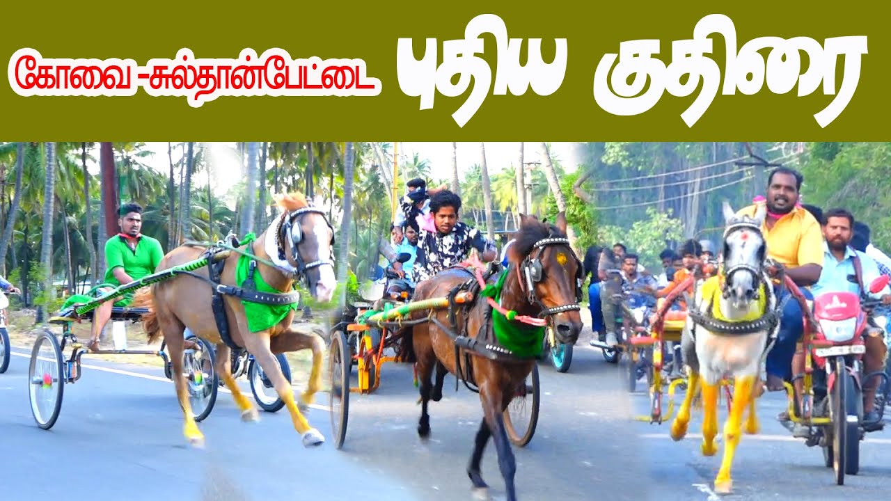 1கோவை-சுல்தான்பேட்டை -புதிய குதிரை பந்தயம் 10.11.2024
