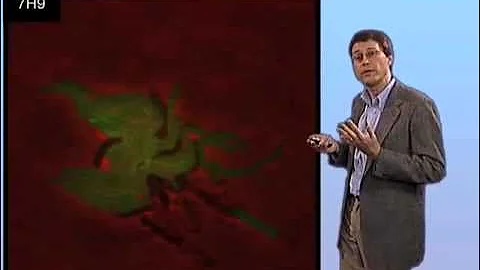 John McKinney (EPFL) Part 3: Phenotypic Heterogeneity and Antibiotic Tolerance