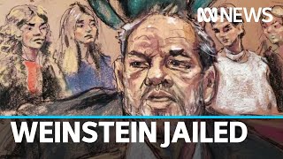 Harvey Weinstein sentenced to 23 years in prison for rape and sexual assault | ABC News