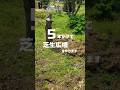 劇的ビフォーアフター壮大な庭作り