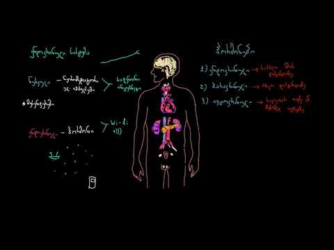 ენდოკრინული სისტემის შესავალი