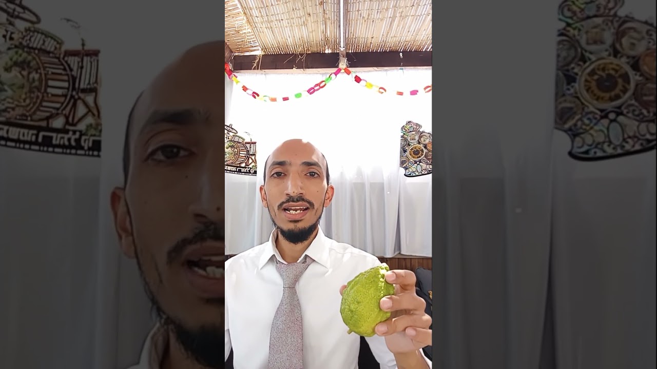 Uploads from Rabbi Yanon Zargari
