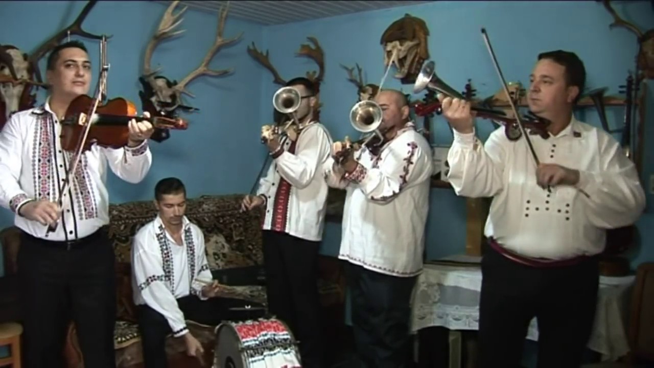 Instrumentisti bihoreni,Hididisii din Cihei 2016 - Stangaciu -vezi descrierea(100 abonati!)