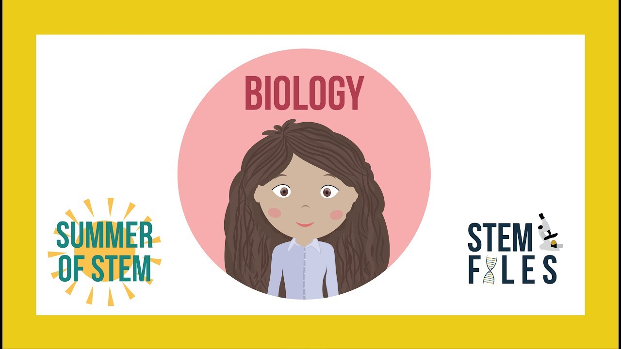 Biology Summer of STEM 2017 Celery Osmosis YouTube