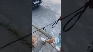 Victoria Swarovski - Instagram 09.08.2021