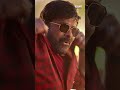 Bholaa Mania Every Year | Megastar #Chiranjeevi | BholaaShankar | #shorts s