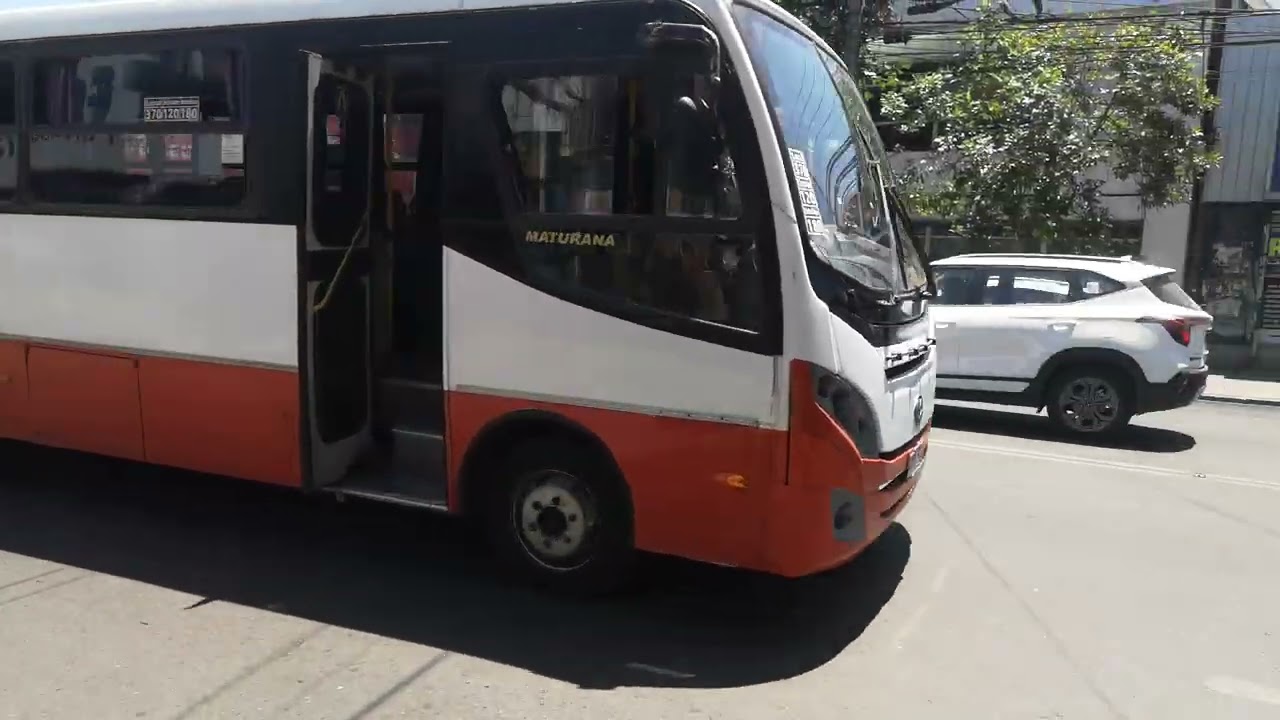 Buses de la empresa fenur y sol y mar líneas 116 y 305 pasando por el centro de Villa alemana 