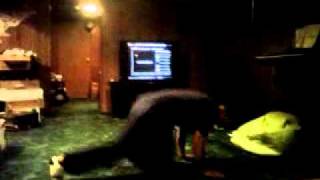 Shorty Dancinq To Shootinq Star Lmfao