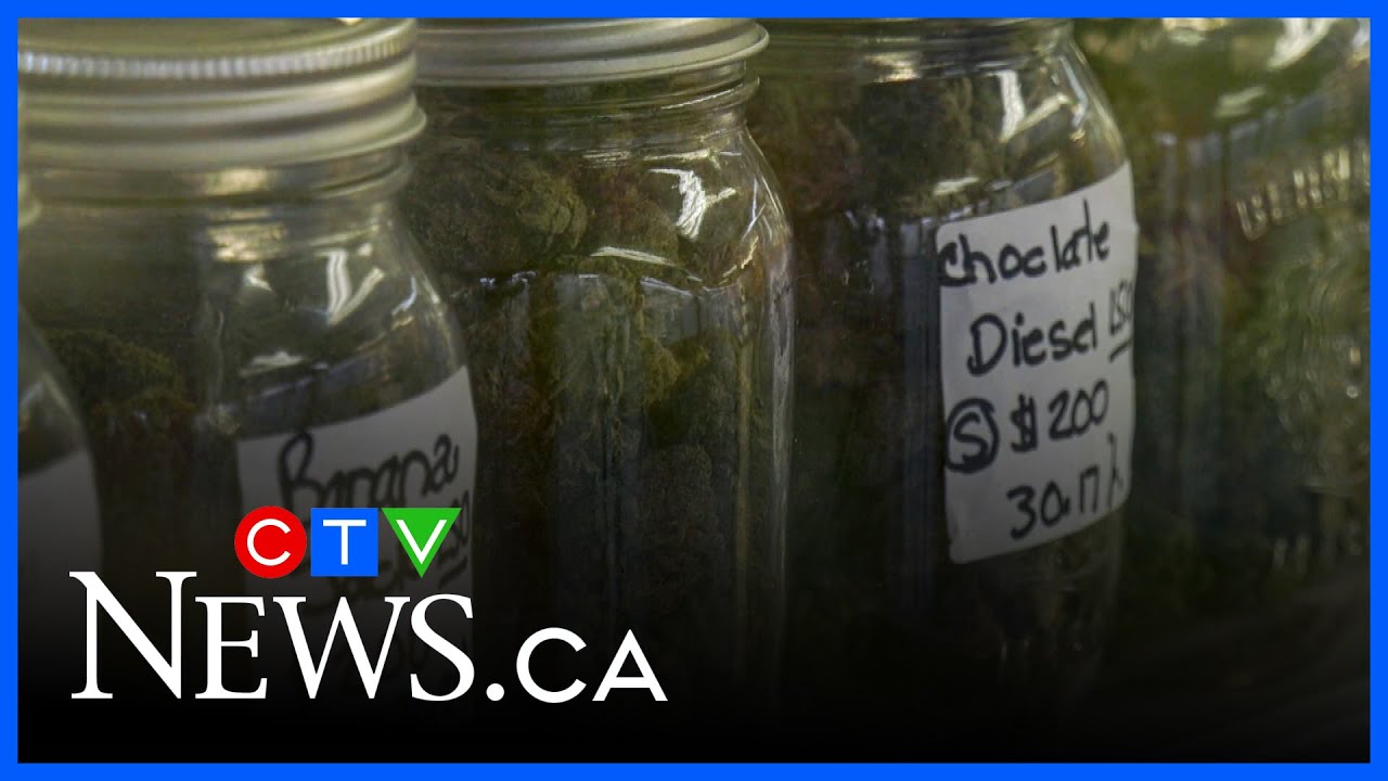 Mi’kmaw chiefs critical of cannabis shop crackdown