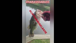 CAUGHT 1ST BASS SINCE APRIL FOOLZ... #catchandrelease #bassfishing #crushcity