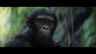 Kingdom of the Planet of the Apes 2024 трейлер Планета Обезьян Королевство