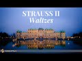 Capture de la vidéo Strauss Ii - Greatest Waltzes Collection