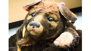 How The Bear Gets Ready For The Nutcracker | 2015 | SWDA | Vanessa Salnave