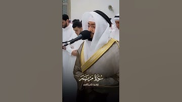 ما تيسر من سورة مريم|القارئ الشيخ أحمد عبدالعزيز النفيس #القرآن_الكريم #احمد_النفيس #سورة_مريم #لايك