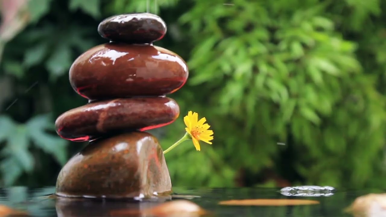 Sons da Natureza para Paz, Calma e Relaxamento | Nature Sounds for Peace, Calm and Relaxation 