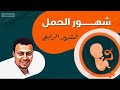 الشهر الرابع في الحمل دكتور محمد اسماعيل 